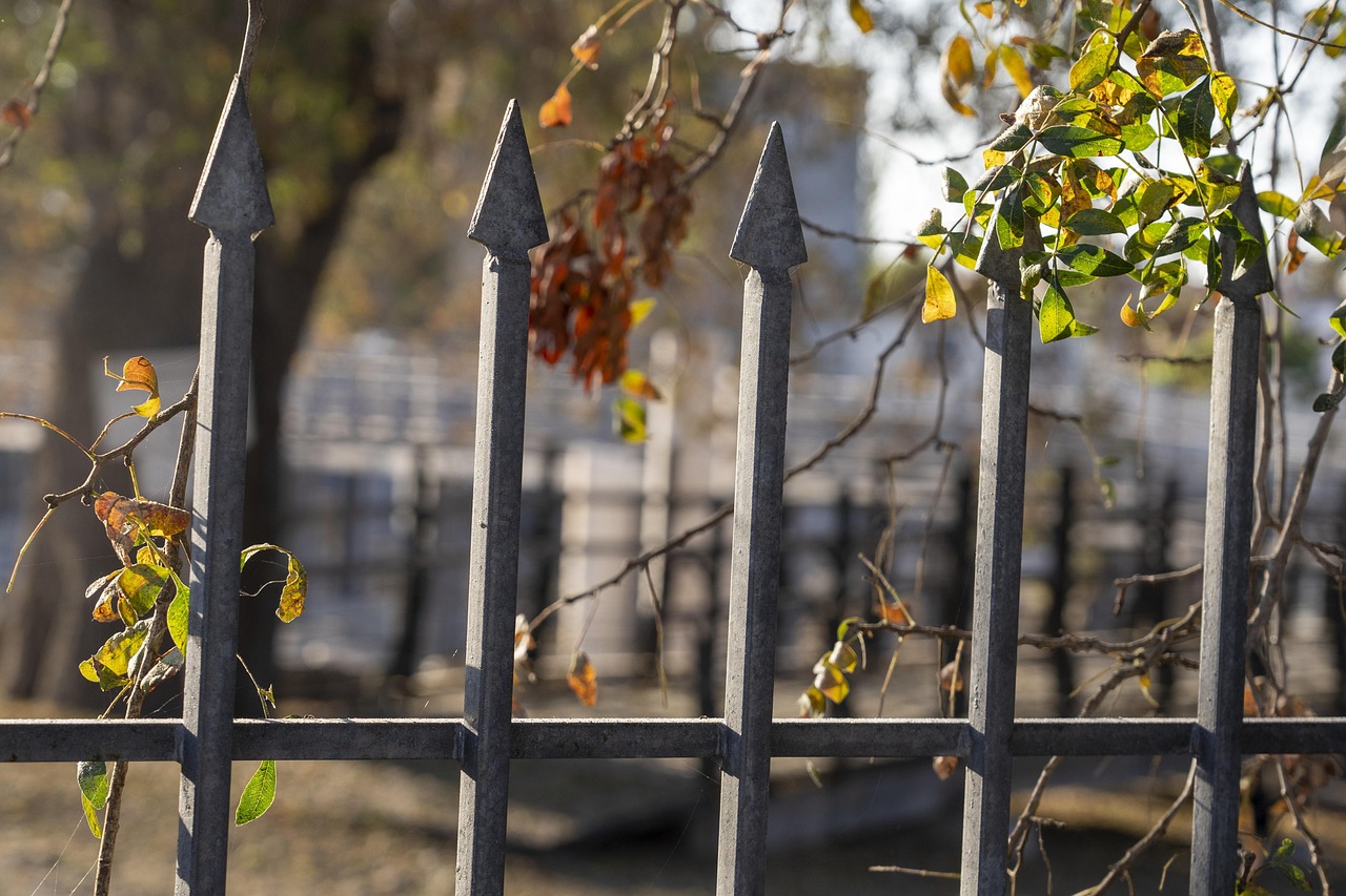 Ogrodzenia panelowe a estetyka i trwałość – co warto wiedzieć?